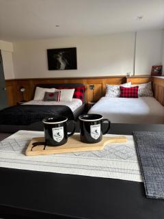 Amazing Views, Northern Lights, Stargazing Entire Guest Suite in Golden, BC Canada - 5