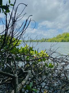 Eagle Villa - Hikkaduwa - 3