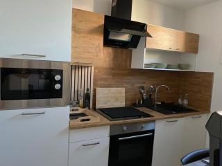 Softwave Wellness Home strasbourg with garage included - 6