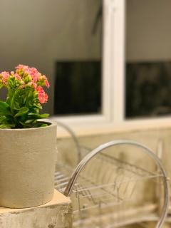 Eagle Villa - Hikkaduwa - 1