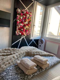 Softwave Wellness Home strasbourg with garage included - 3