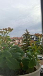 Grand Albi Apartament - 2