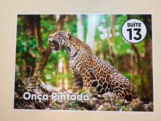 Caribe de Alter - Hotel & Pousada - 3