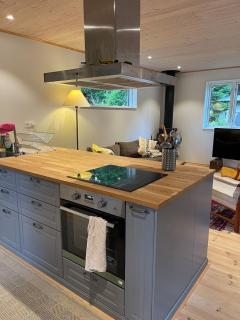 Cabin within walking distance of Västersjön - 4