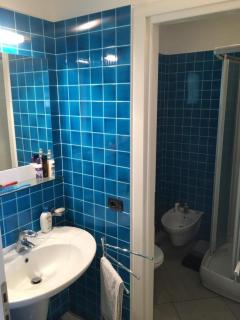 Palm Grove House - 6