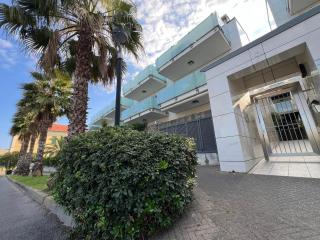 Palm Grove House - 4