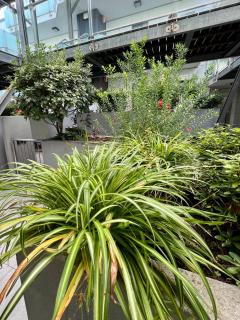 Palm Grove House - 2