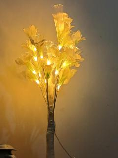 Rua forno do tijolo 27 - Lisbonne - 8