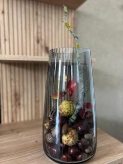 # 97 - die Ferienwohnung am Sachsenring - 2