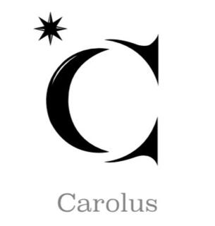 Carolus Suites - 0