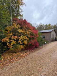 2 Bed Rural Retreat in Dorset Includes a private Hot Tub and cosy wood burner - 8