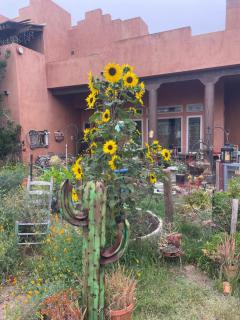 Mystic Canyon Inn - 6