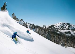 Saltwater Hot Tub, Forest Retreat, Minutes to Town - 5