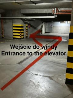 Millennium Skorosze Mango - 8