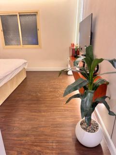 استديو الاناقة بحي السليمانيه - 5