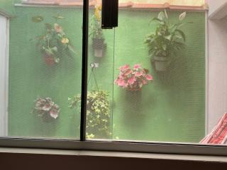 Suíte na Flor de Debora - 6