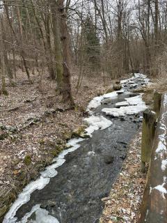 Comfy Nature Stay - 7