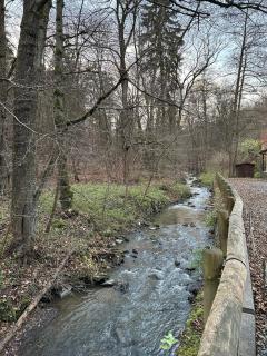 Comfy Nature Stay - 4