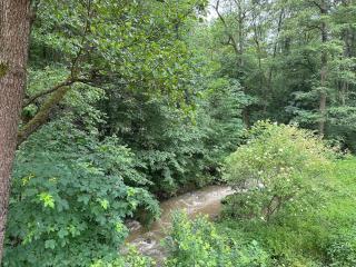 Comfy Nature Stay - 3