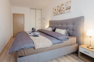 BNB Jegeho Suite with Balcony - 9