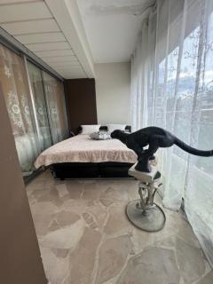 Bright & Luxurious Apartment - Heart of Cannes - 3