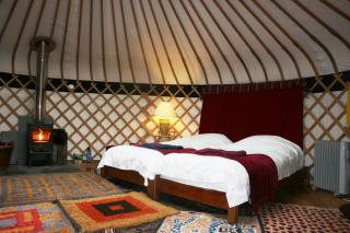 Dogwood Yurt - 1