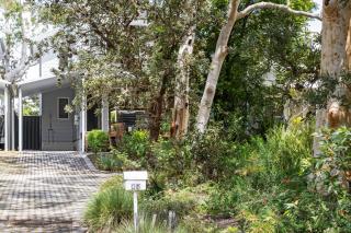 Scribbly Gums Callala Beach - 0