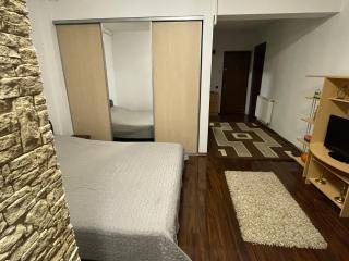 Apartament Ciocarliei - 5