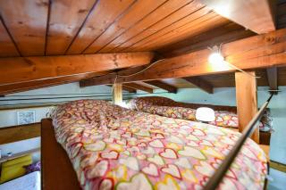 La Collina dei Ciliegi - 4