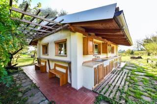 La Collina dei Ciliegi - 2