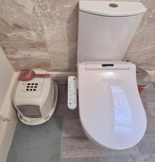 A home away from home - 3