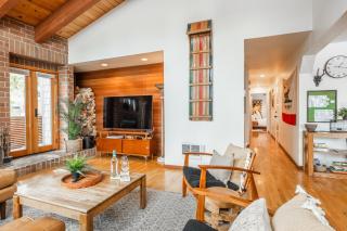 Cedar and Snow - Mammoth Lakes - 2