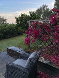 Cottage among the olive trees with a total sea view - 9