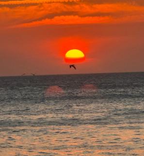 Aparta suite Playa Bello Horizonte Santa Marta - 9