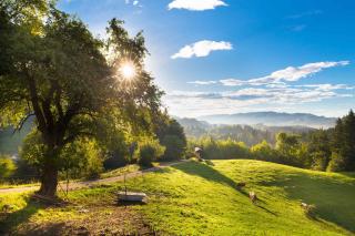 Apartments in Laze V Tuhinju - Julische Alpen 50144 - 4