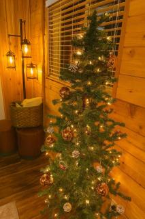 Riverfront Luxury Cabin-Hot Tub-EV-Deluxe Kitchen - 6