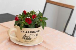 Apartment in Biograd na Moru 35590 - 6