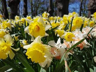 Charming Retreat on Eno - By Traum Ferienwohnungen - 7