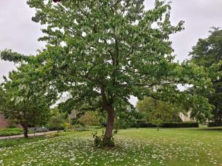 Charming Retreat on Eno - By Traum Ferienwohnungen - 4