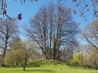 Charming Retreat on Eno - By Traum Ferienwohnungen - 6