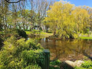 Charming Retreat on Eno - By Traum Ferienwohnungen - 8