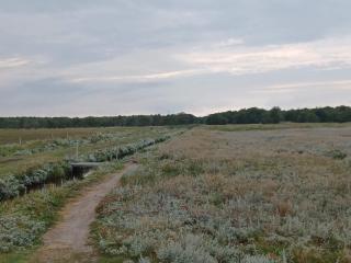 10 person holiday home in Hadsund-By Traum - 5