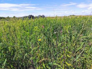 3 person holiday home in Karrebæksminde-By Traum - 3