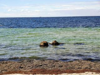 3 person holiday home in Karrebæksminde-By Traum - 1