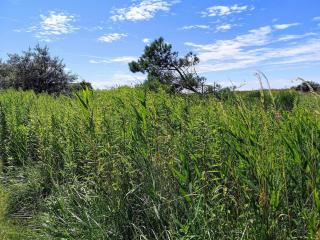 3 person holiday home in Karrebæksminde-By Traum - 4