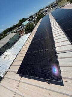 Guayacan Guest House - Cayo Collado La Parguera - 8