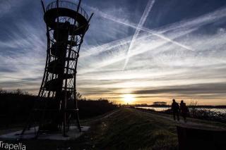 Apartment in Rosolina Mare 35638 - 6