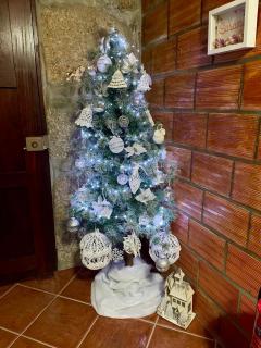 Casa dos Castros - 7