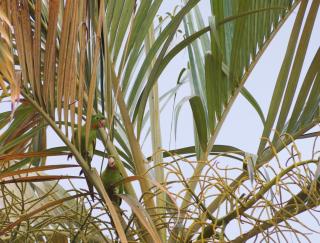 Recanto das Libélulas Pousada - 1