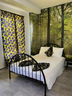 une chambre dépaysante - 1